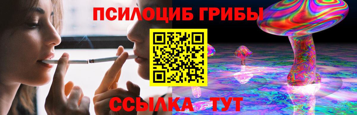 Выкса  Псилоцибиновые грибы Psilocybe  Вход с VPN 